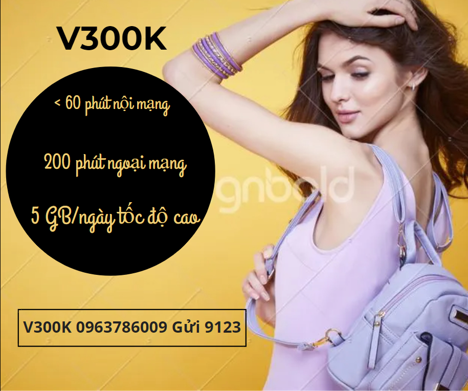 ảnh đại diện V300K